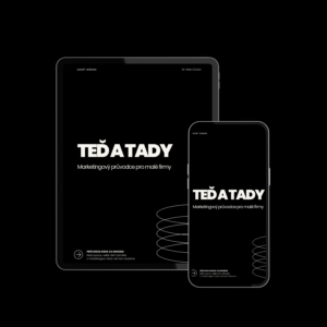TEĎ A TADY: Marketingový průvodce pro malé firmy - All in