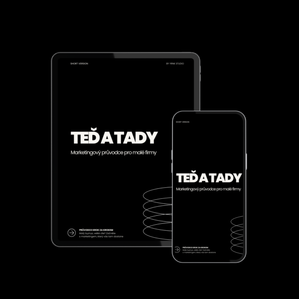TEĎ A TADY: Marketingový průvodce pro malé firmy - Pro